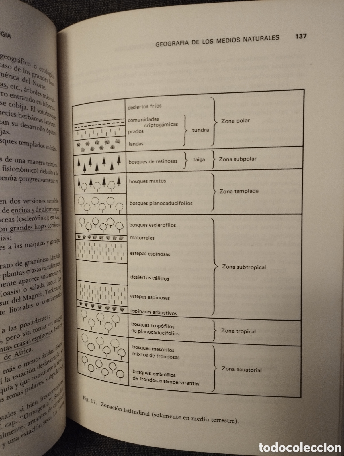 Libros de segunda mano: INTRODUCCION A LA ECOBIOCENOLOGIA (ROGER MOLINIER / PIERRE VIGNES) - Foto 14