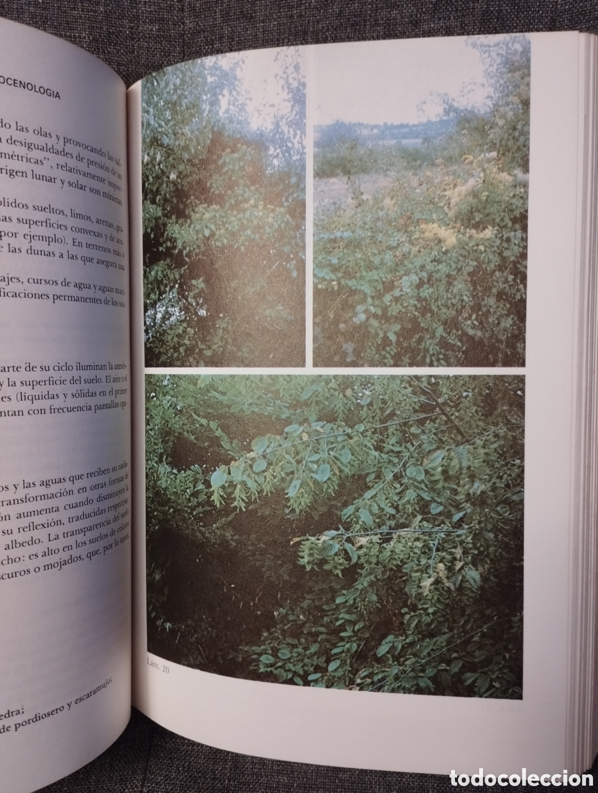 Libros de segunda mano: INTRODUCCION A LA ECOBIOCENOLOGIA (ROGER MOLINIER / PIERRE VIGNES) - Foto 16