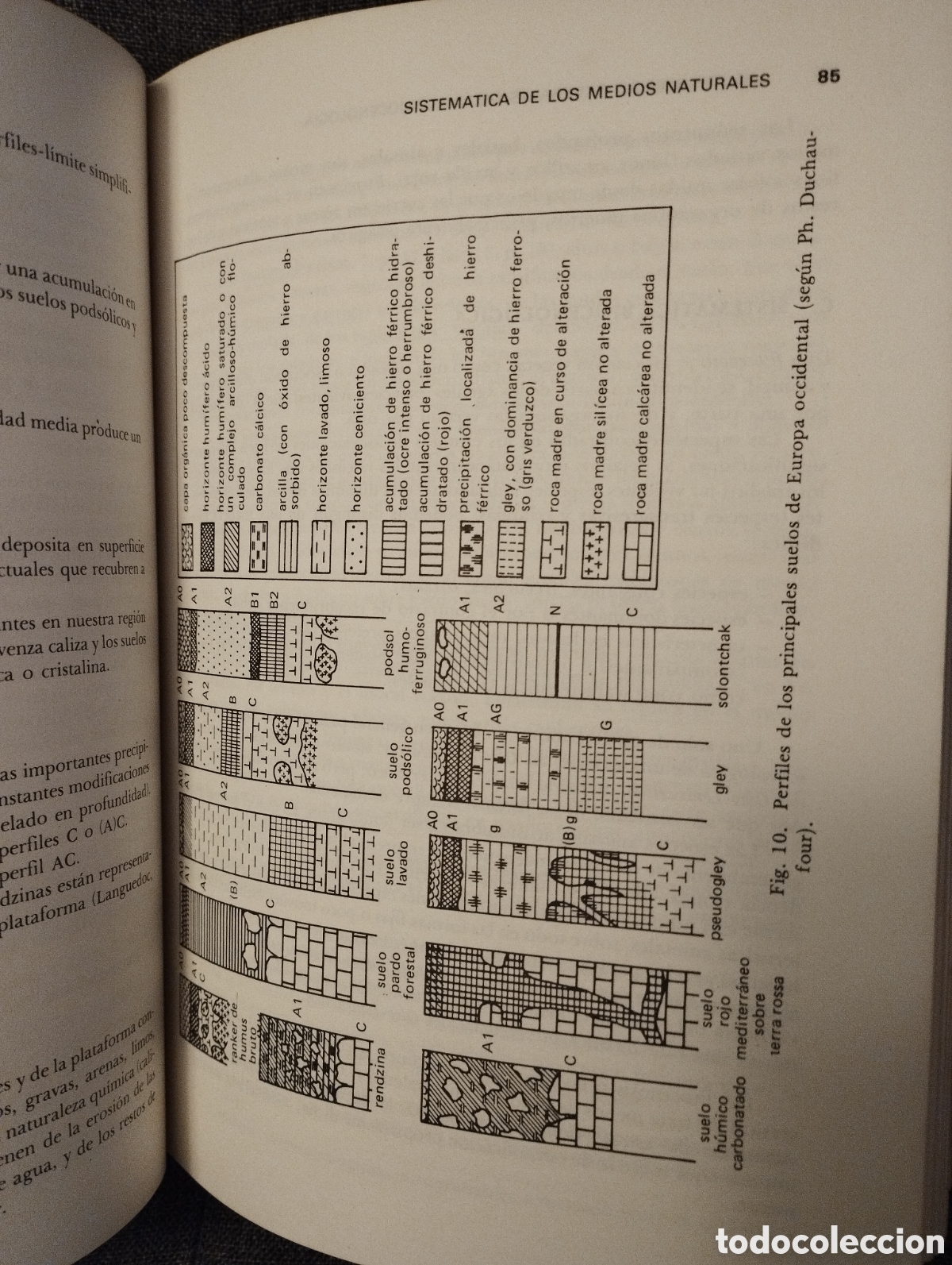 Libros de segunda mano: INTRODUCCION A LA ECOBIOCENOLOGIA (ROGER MOLINIER / PIERRE VIGNES) - Foto 17