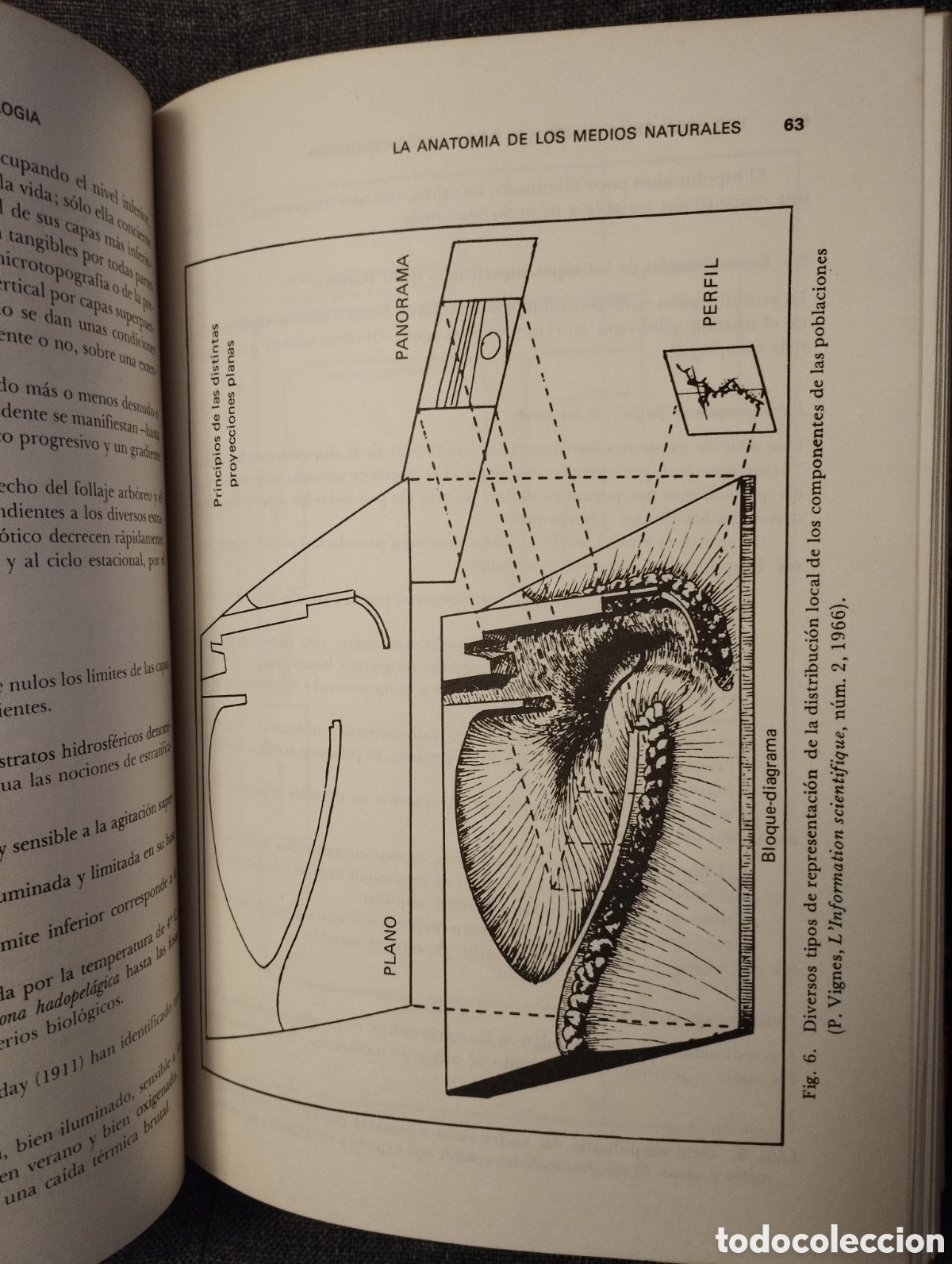 Libros de segunda mano: INTRODUCCION A LA ECOBIOCENOLOGIA (ROGER MOLINIER / PIERRE VIGNES) - Foto 18
