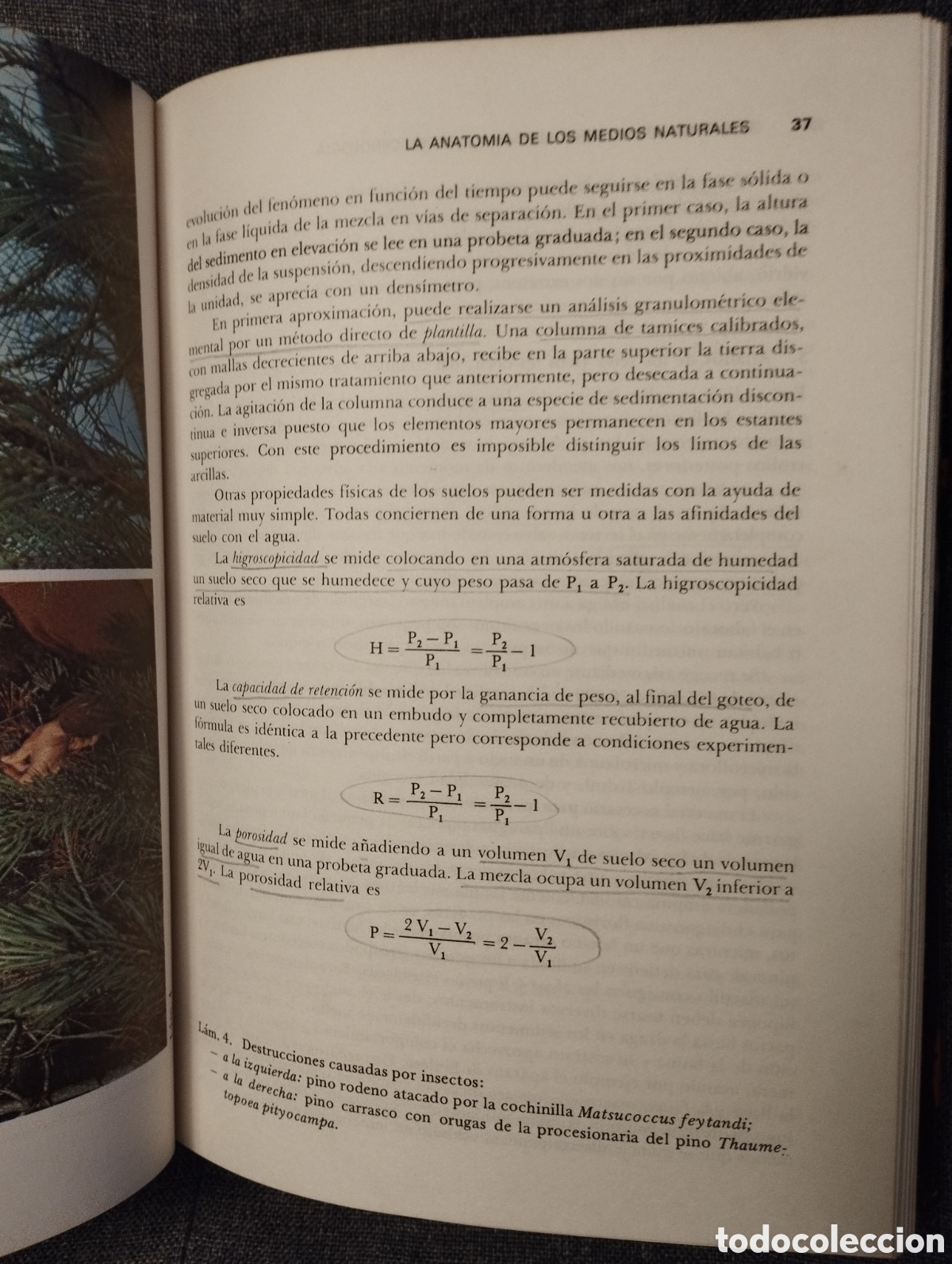 Libros de segunda mano: INTRODUCCION A LA ECOBIOCENOLOGIA (ROGER MOLINIER / PIERRE VIGNES) - Foto 19