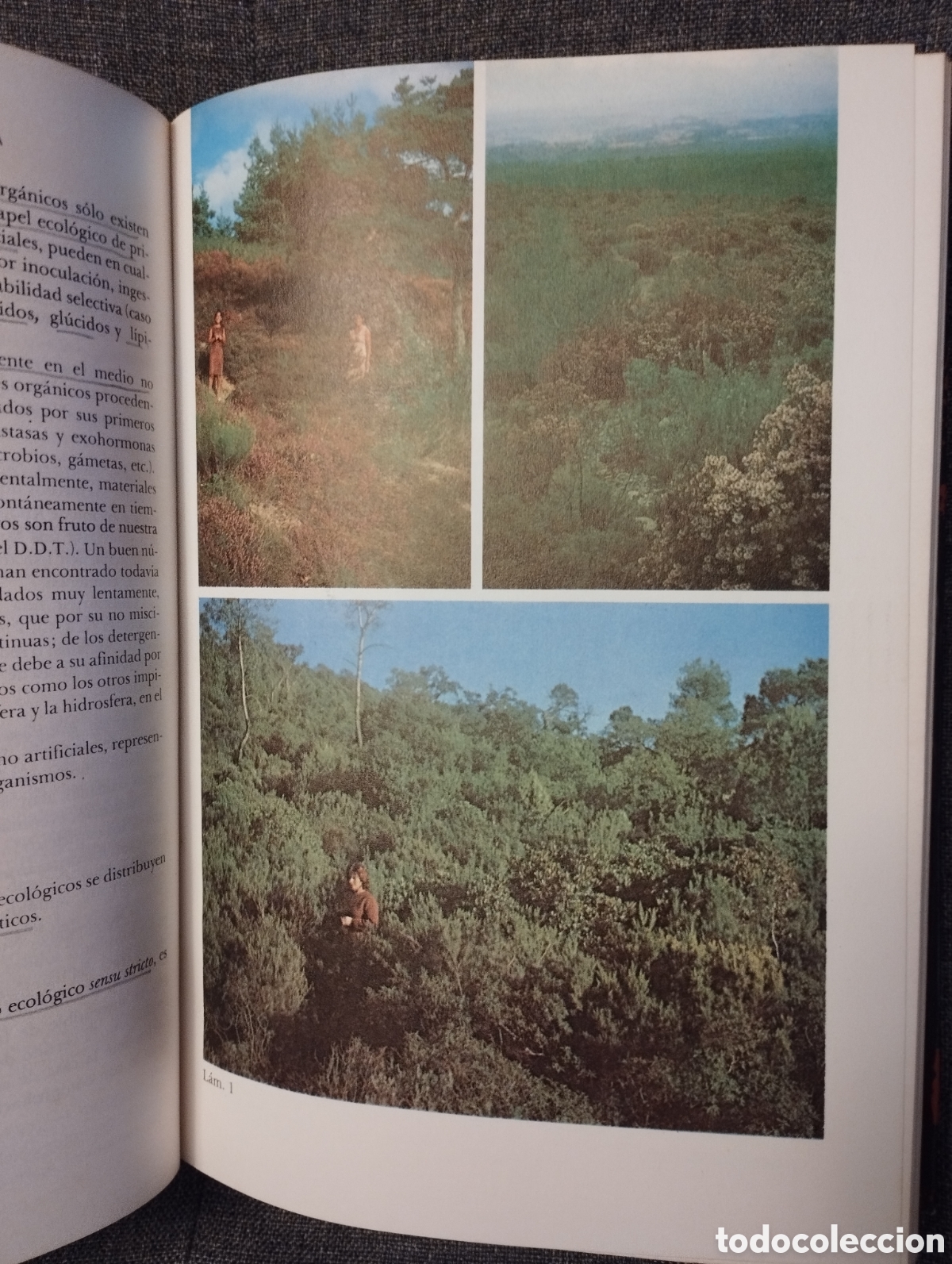 Libros de segunda mano: INTRODUCCION A LA ECOBIOCENOLOGIA (ROGER MOLINIER / PIERRE VIGNES) - Foto 20