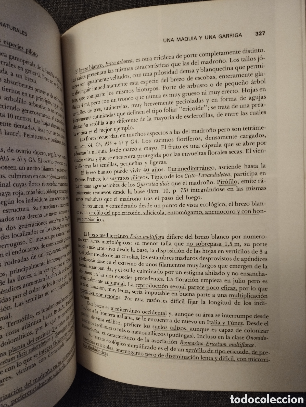 Libros de segunda mano: INTRODUCCION A LA ECOBIOCENOLOGIA (ROGER MOLINIER / PIERRE VIGNES) - Foto 22
