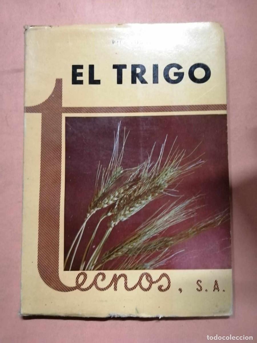 Libros de segunda mano: EL TRIGO (P. JUSSIAUX) - Foto 1
