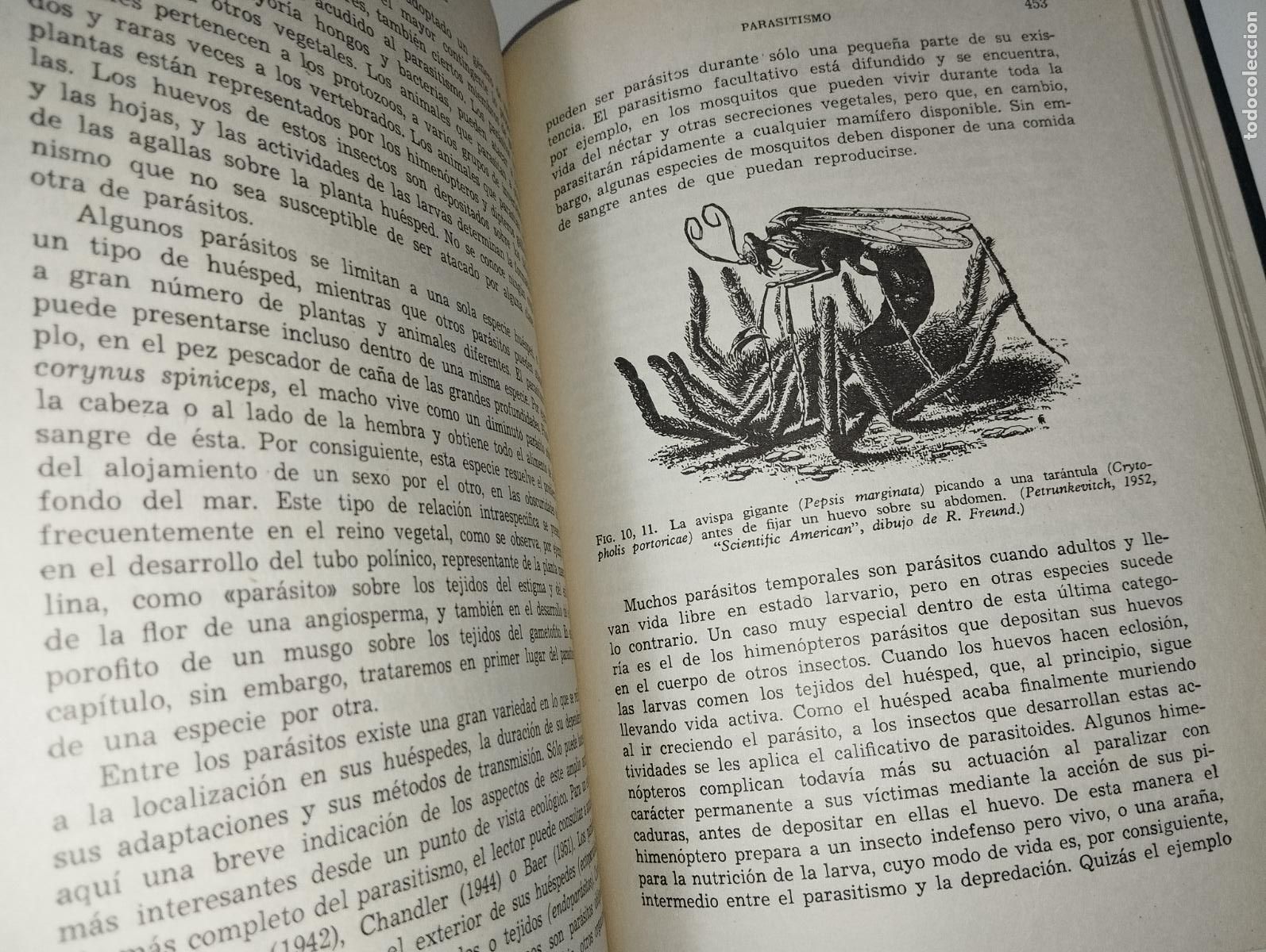 Libros de segunda mano: LIBRO ELEMENTOS DE ECOLOG&Iacute;A CLARKE - Foto 3