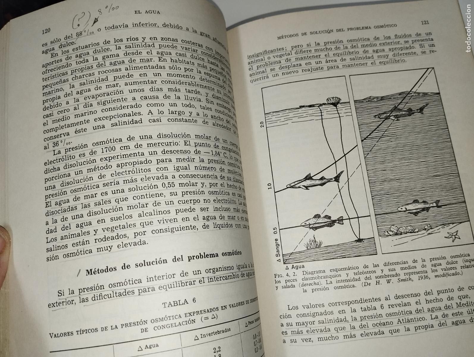 Libros de segunda mano: LIBRO ELEMENTOS DE ECOLOG&Iacute;A CLARKE - Foto 5
