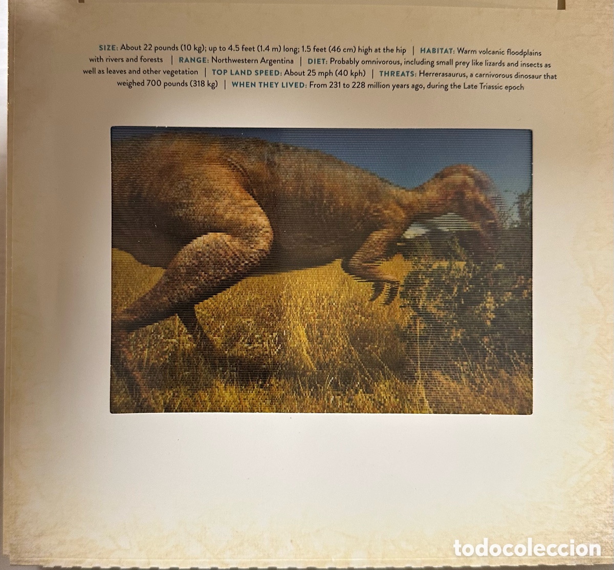 Libros de segunda mano: Dinosaur. A photicular book. Dan Kainen. En movimiento. 2018, primera edici&oacute;n. - Foto 12