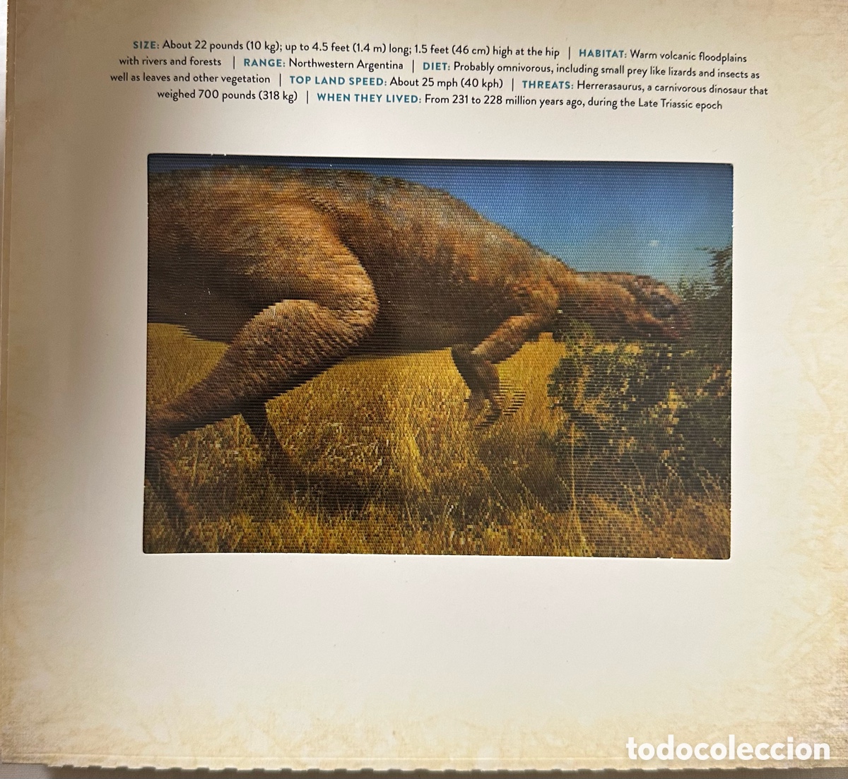 Libros de segunda mano: Dinosaur. A photicular book. Dan Kainen. En movimiento. 2018, primera edici&oacute;n. - Foto 13