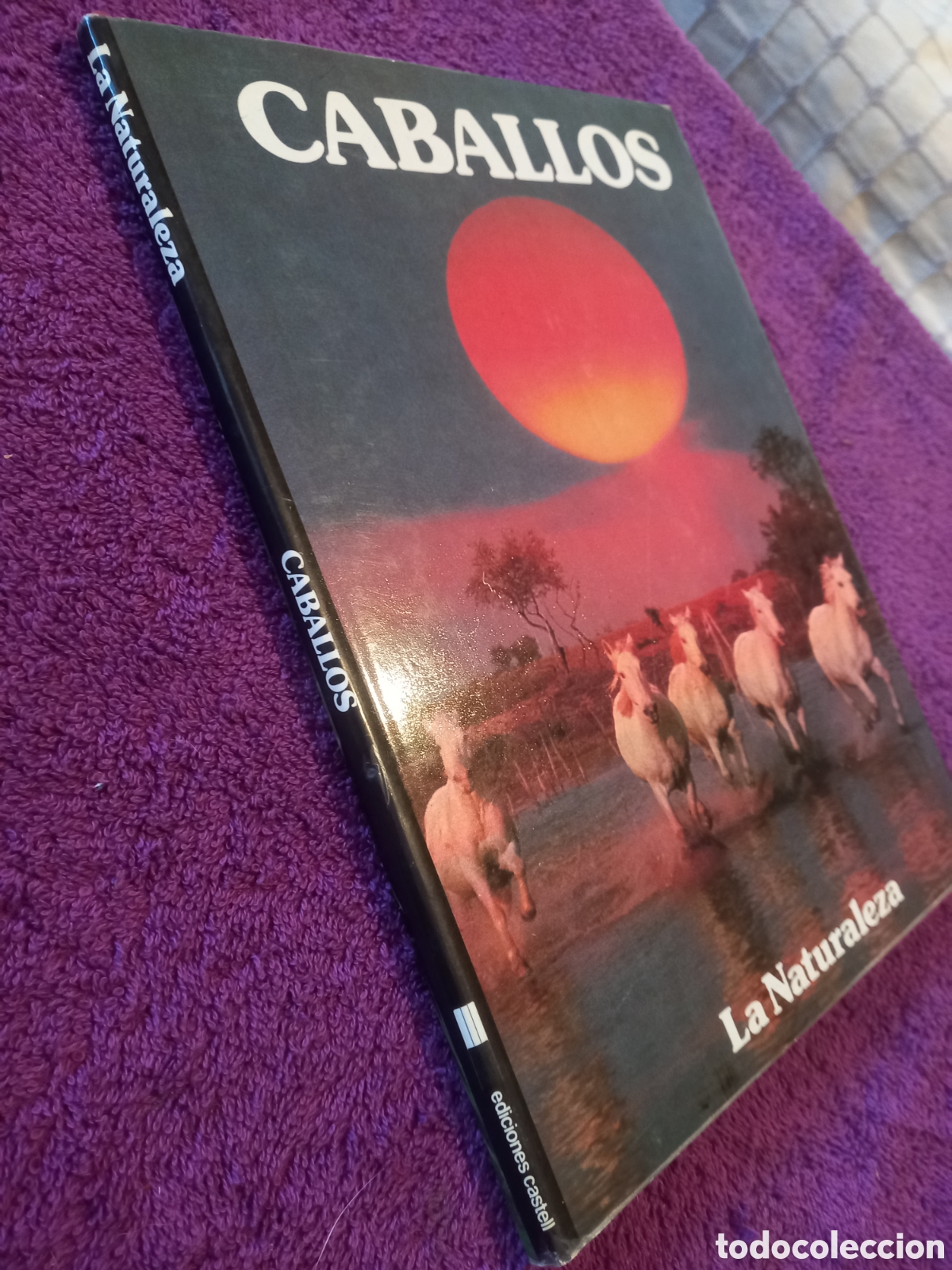 Libros de segunda mano: Caballos. Colecci&oacute;n La naturaleza. Ediciones Castell. - Foto 2