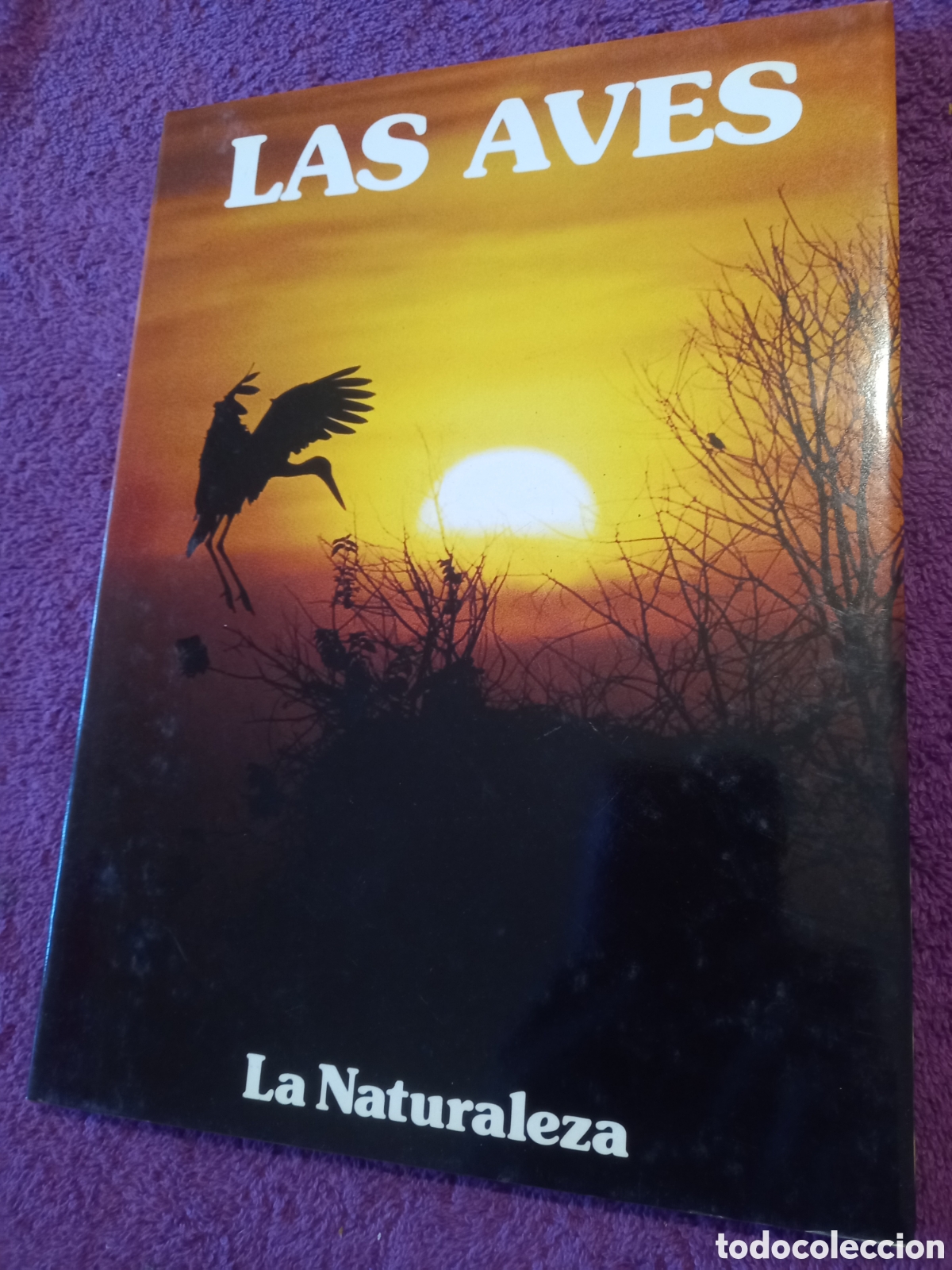 Libros de segunda mano: Las aves. Colecci&oacute;n La naturaleza. Ediciones Castell. - Foto 1