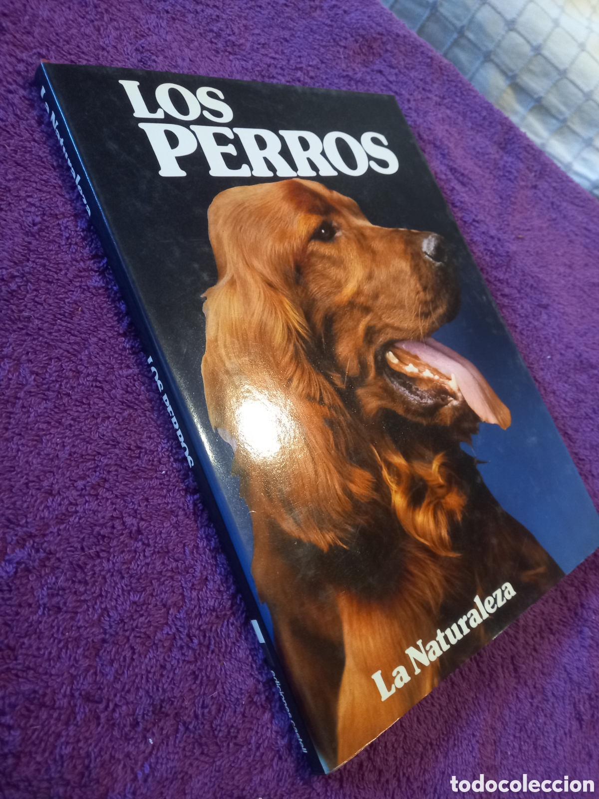 Libros de segunda mano: Los perros. Colecci&oacute;n La naturaleza. Ediciones Castell. - Foto 2