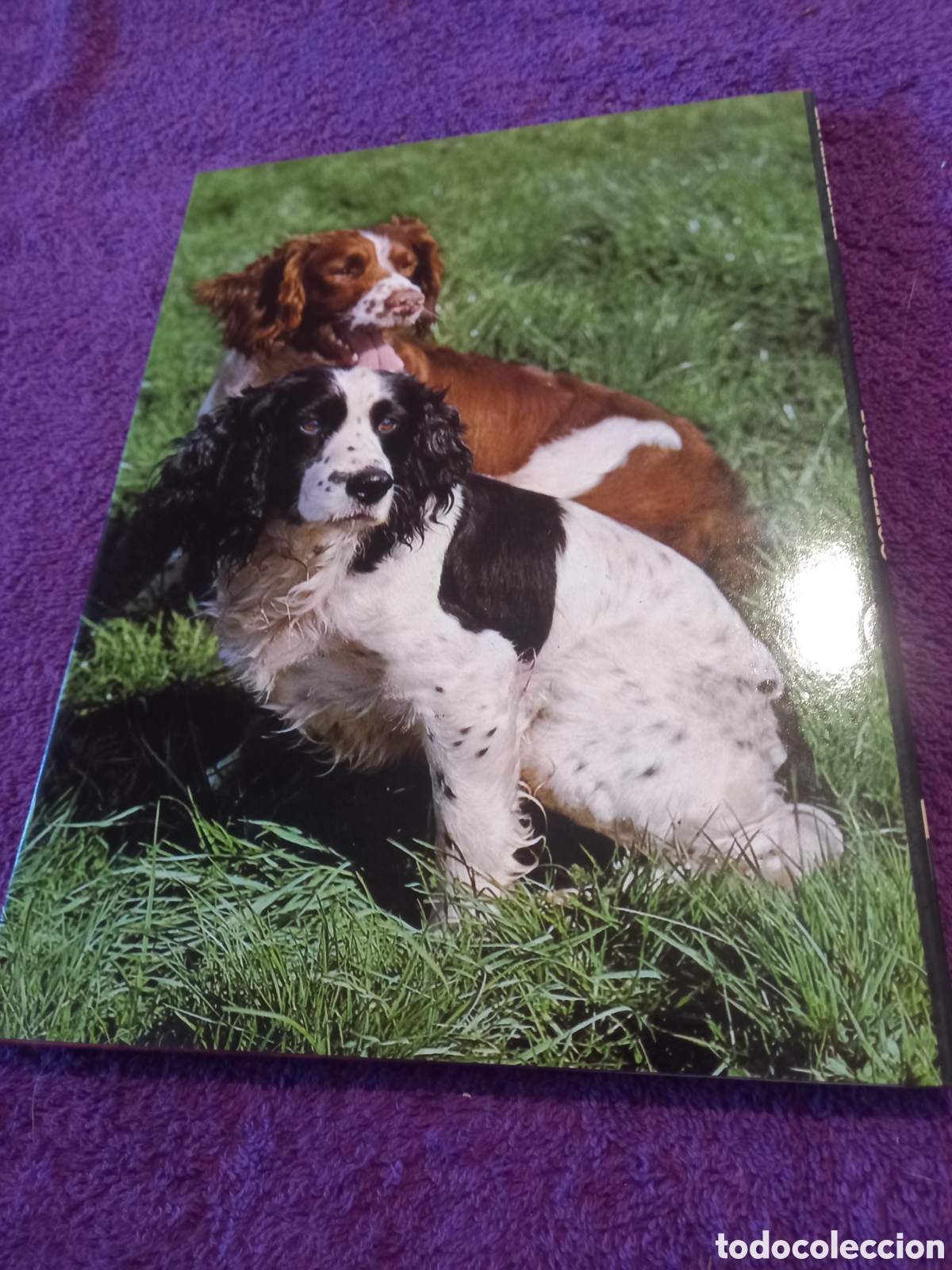 Libros de segunda mano: Los perros. Colecci&oacute;n La naturaleza. Ediciones Castell. - Foto 3