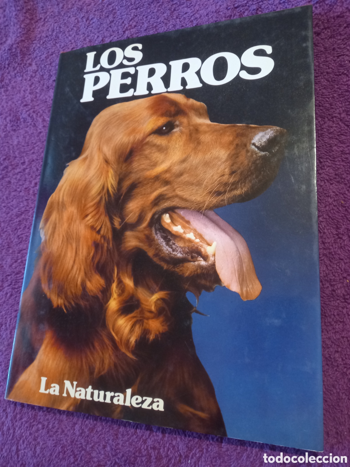 Libros de segunda mano: Los perros. Colecci&oacute;n La naturaleza. Ediciones Castell. - Foto 1
