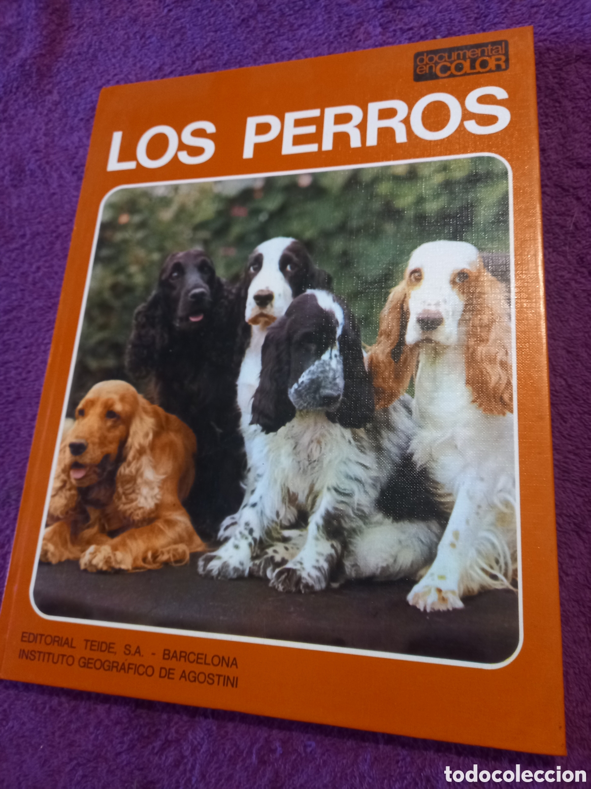 Libros de segunda mano: Los perros. Documental en color. Ediciones Teide. - Foto 1