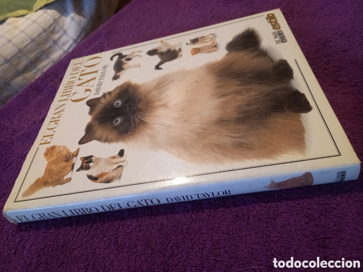 Libros de segunda mano: El gran libro del gato. David Taylor. - Foto 2