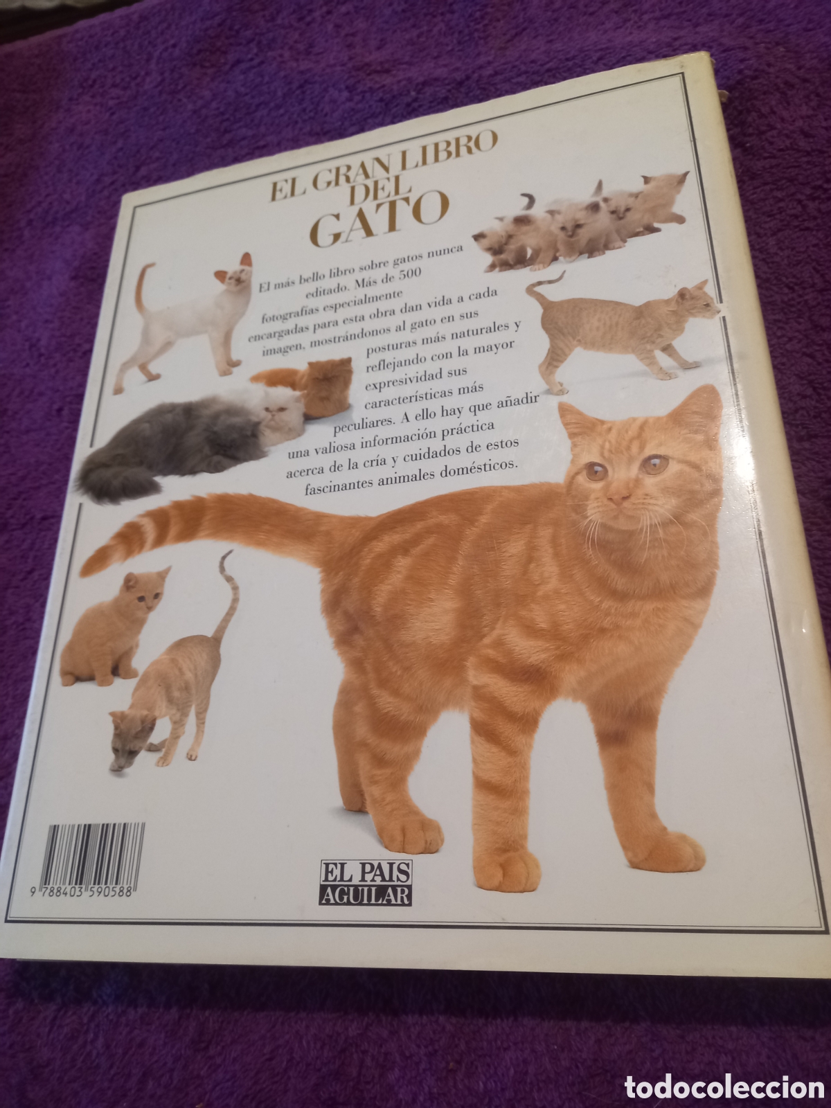Libros de segunda mano: El gran libro del gato. David Taylor. - Foto 3