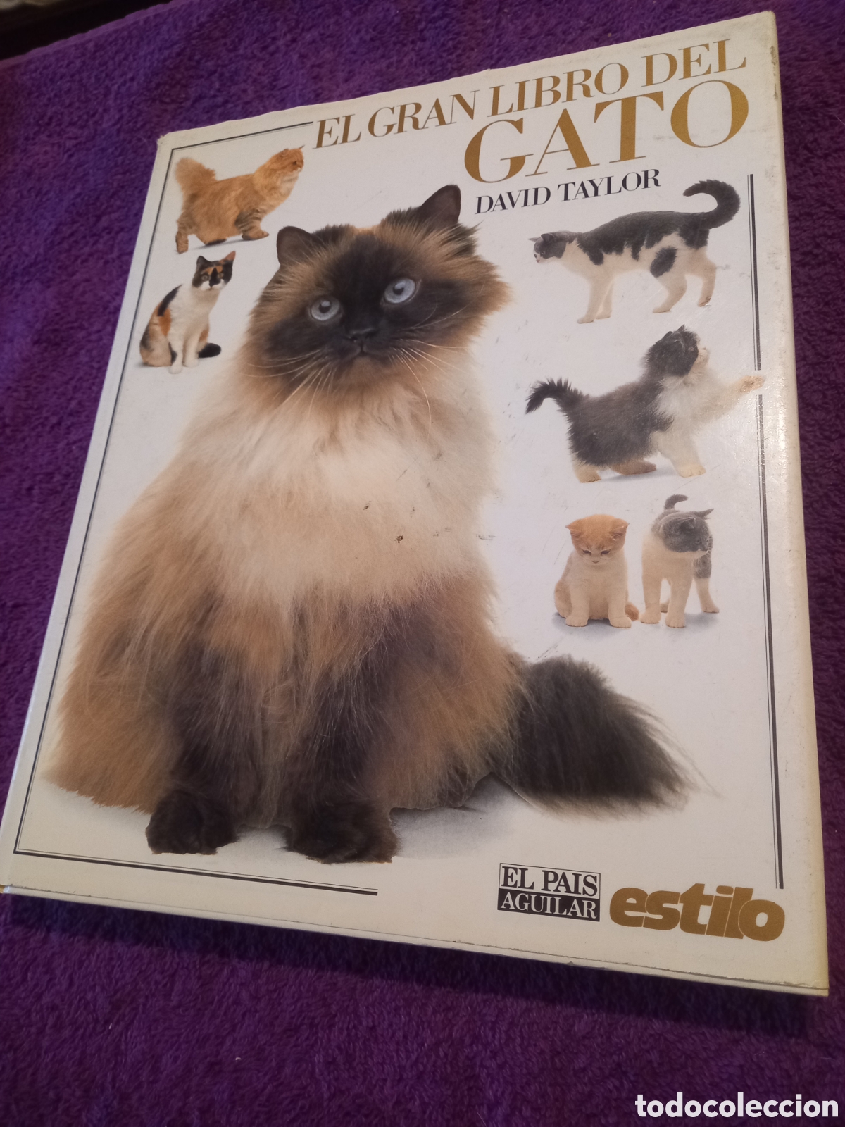 Libros de segunda mano: El gran libro del gato. David Taylor. - Foto 1