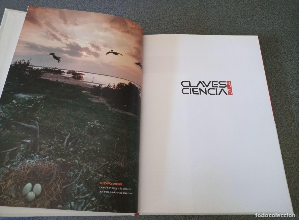Libros de segunda mano: La Evoluci&oacute;n De Las Especies 4 Eduardo Punset - Foto 3