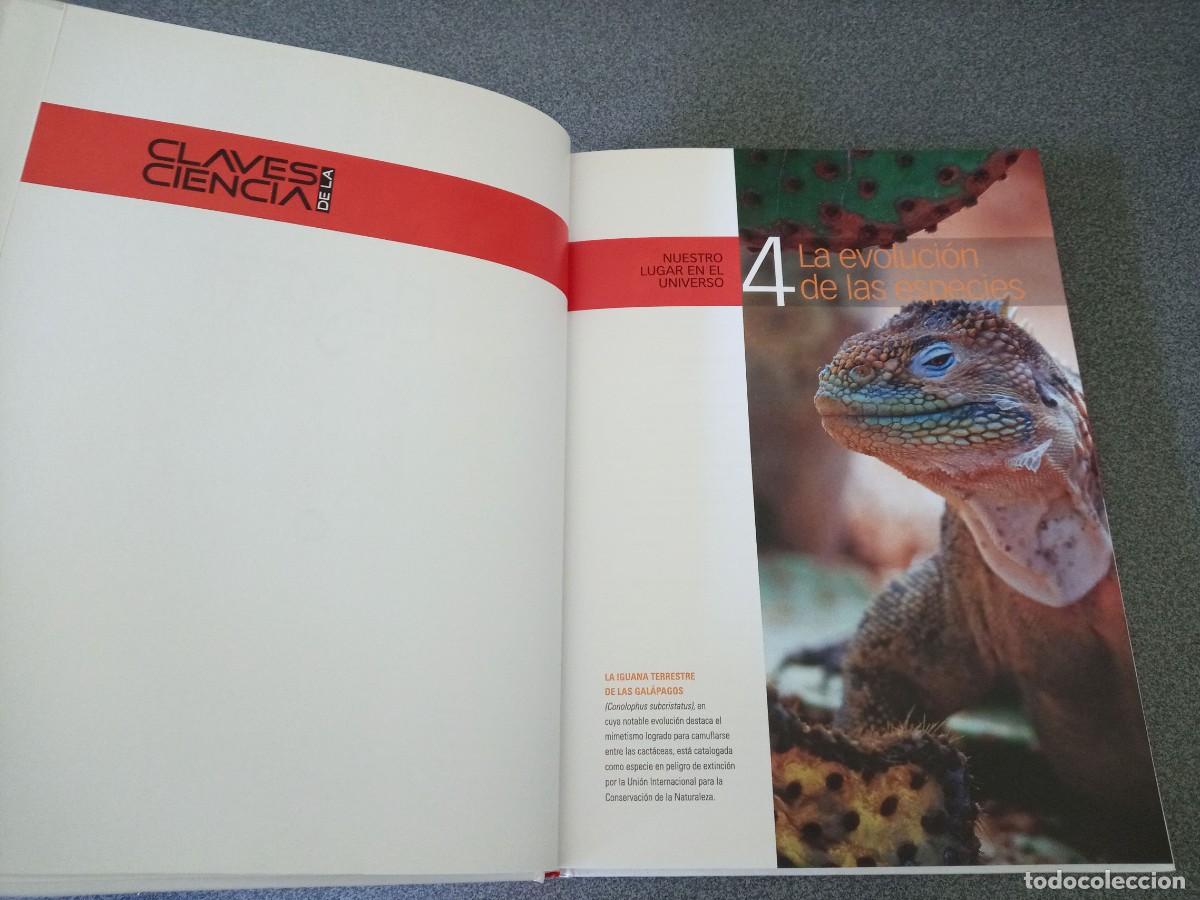 Libros de segunda mano: La Evoluci&oacute;n De Las Especies 4 Eduardo Punset - Foto 4