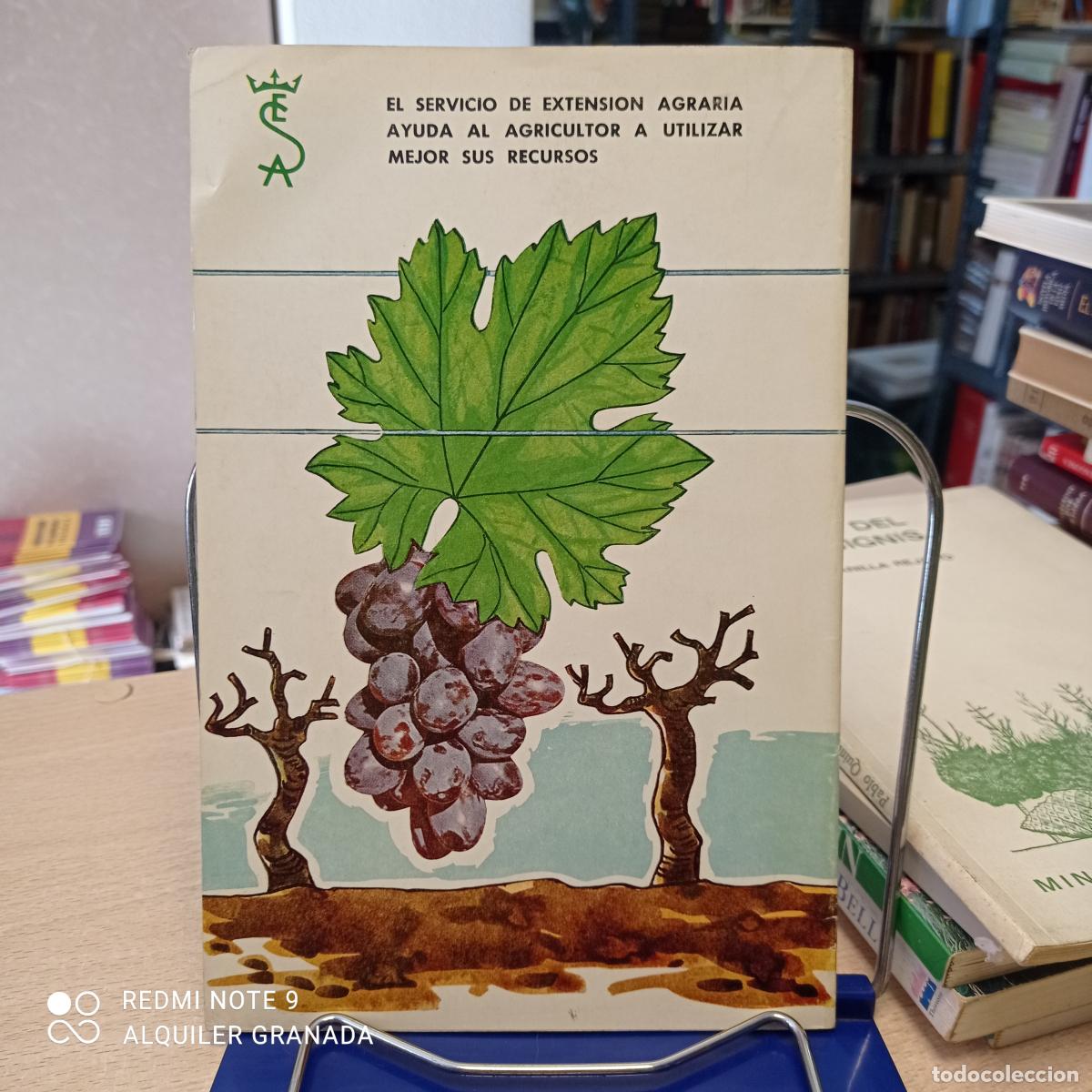 Libros de segunda mano: EL VI&Ntilde;EDO EN SEMIEMPARRADO - JUAN CAPDEVILA VIDAL - Foto 2