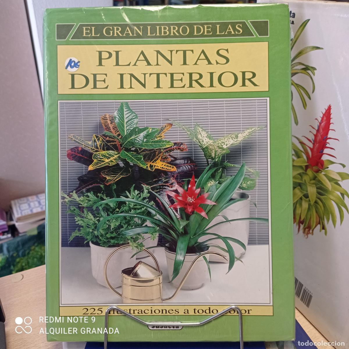 Libros de segunda mano: GRAN LIBRO PLANTAS INTERIOR - JIRI HAAGER - Foto 1