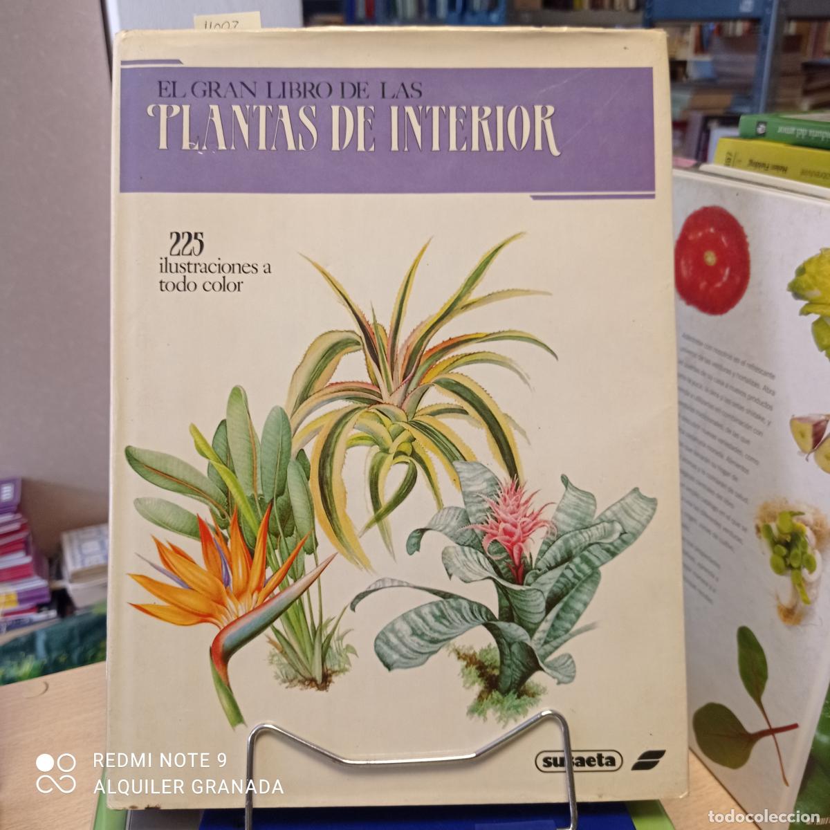 Libros de segunda mano: EL GRAN LIBRO DE LAS PLANTAS DE INTERIOR - JIRI HAAGER - Foto 1