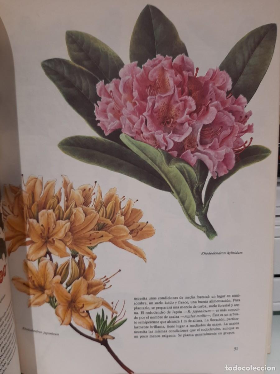 Libros de segunda mano: Vladimir M&ouml;lzer. El gran libro de las plantas de jard&iacute;n - Foto 3
