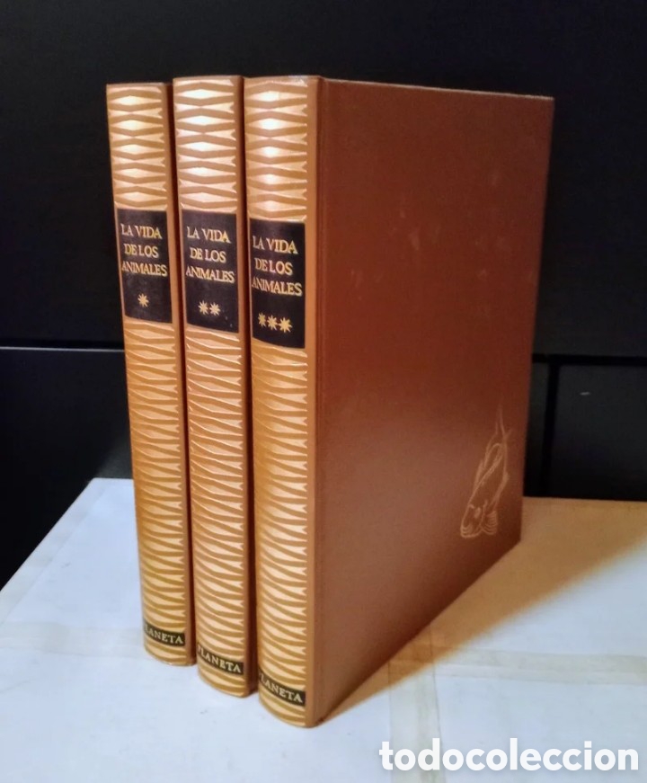 Libros de segunda mano: LA VIDA DE LOS ANIMALES, 3 tomos - Foto 3