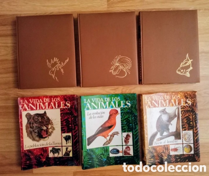 Libros de segunda mano: LA VIDA DE LOS ANIMALES, 3 tomos - Foto 4