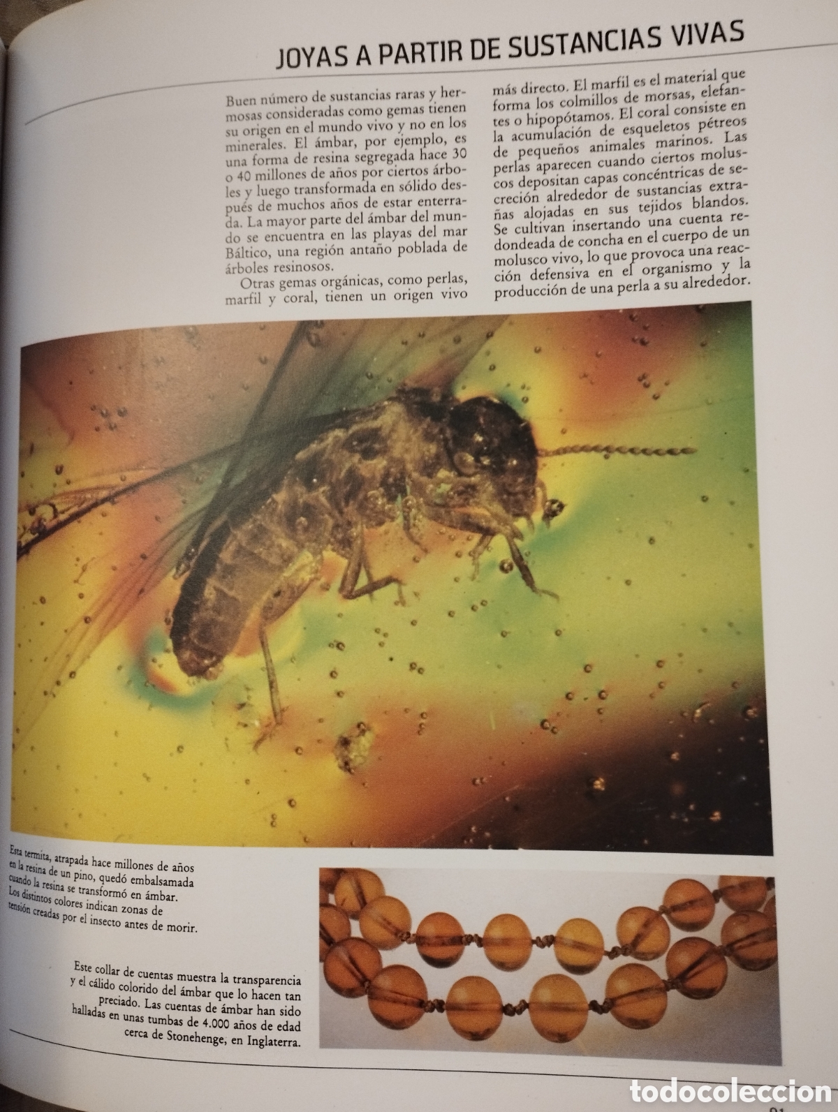 Libros de segunda mano: PIEDRAS PRECIOSAS (PAUL ONEIL) EDITORIAL PLANETA - Foto 7