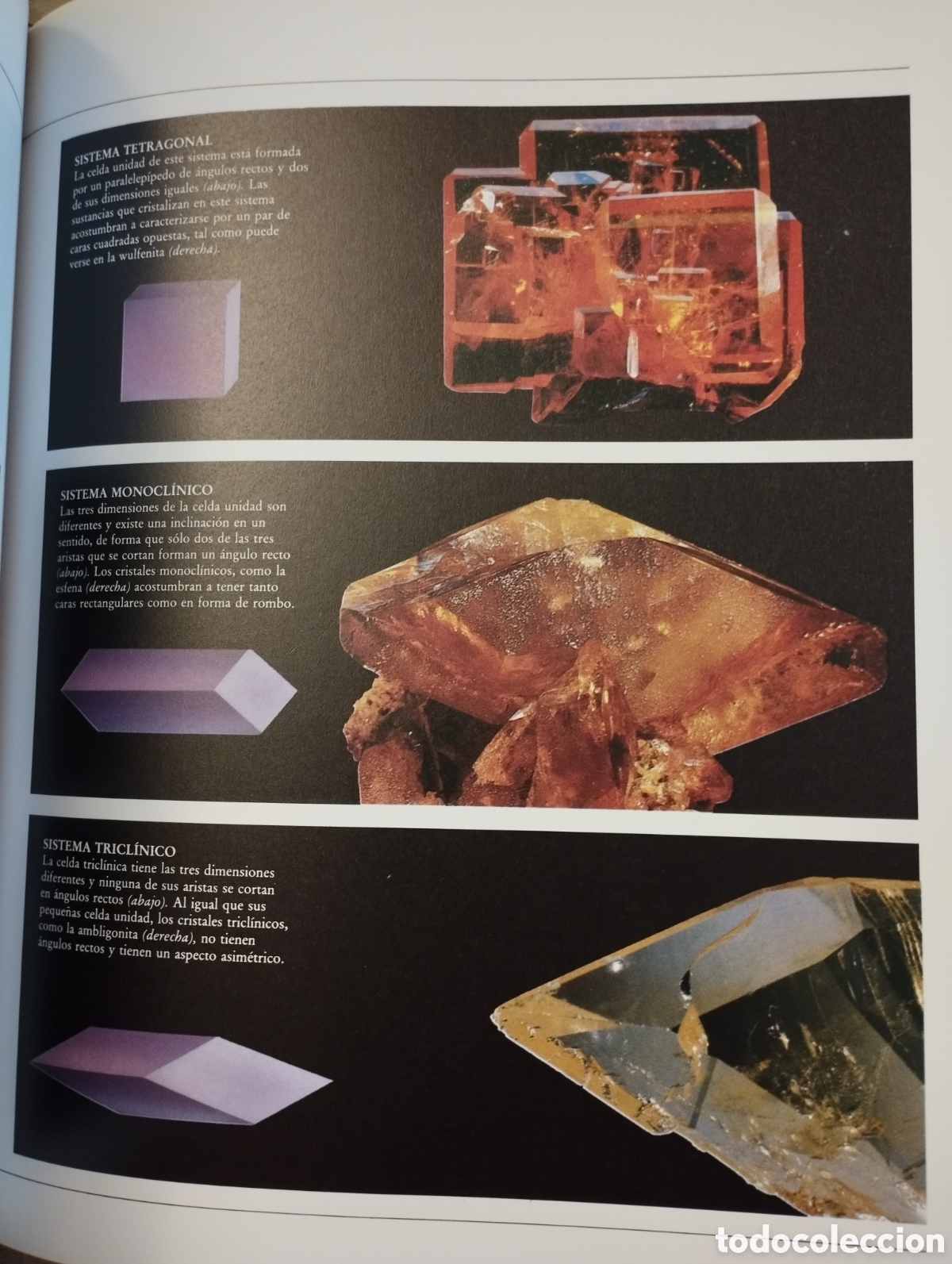 Libros de segunda mano: PIEDRAS PRECIOSAS (PAUL ONEIL) EDITORIAL PLANETA - Foto 11