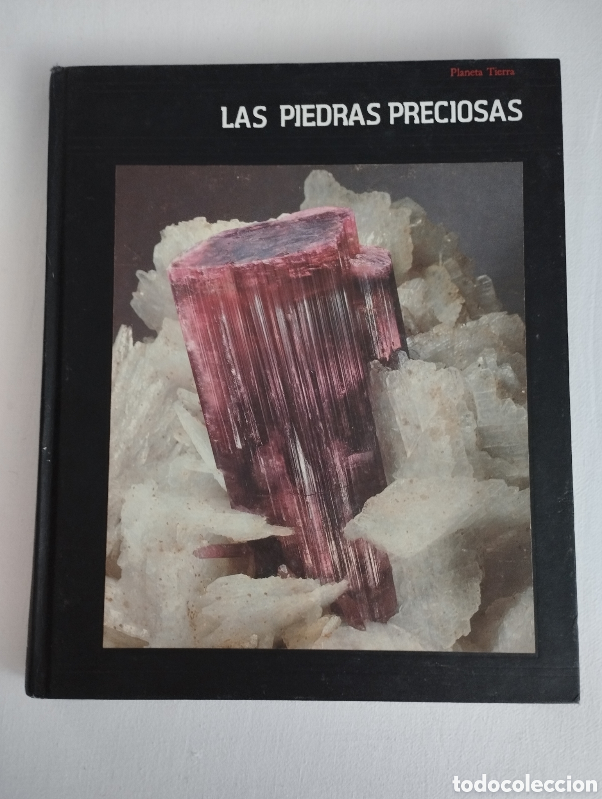 Libros de segunda mano: PIEDRAS PRECIOSAS (PAUL ONEIL) EDITORIAL PLANETA - Foto 1