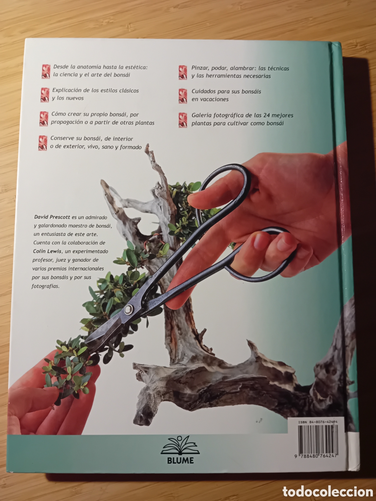 Libros de segunda mano: Manual del bons&aacute;i - David Prescott (Blume 2002) - Foto 2