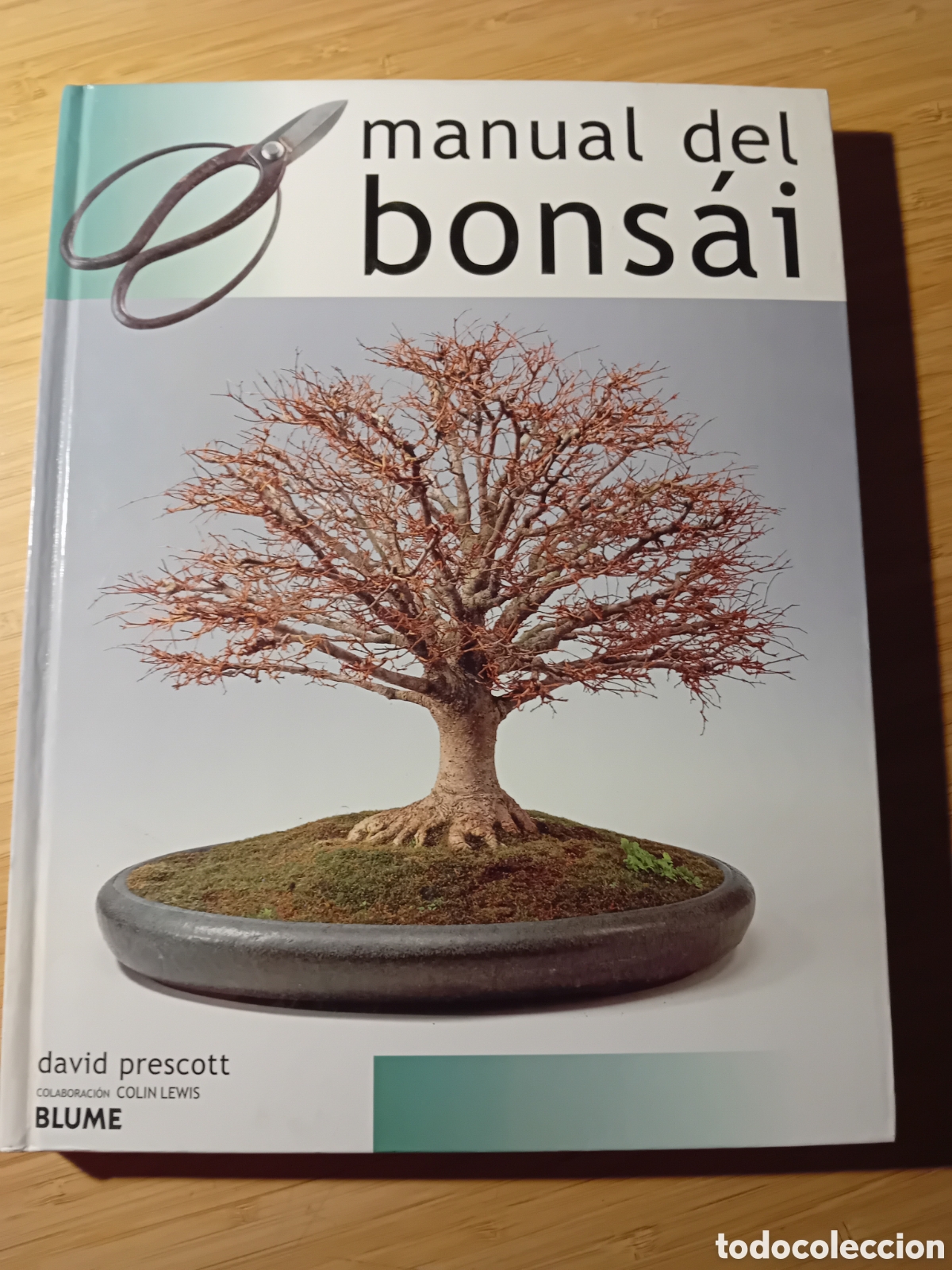 Libros de segunda mano: Manual del bons&aacute;i - David Prescott (Blume 2002) - Foto 1