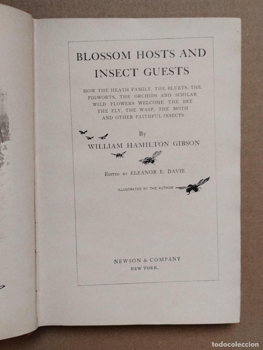 Libros de segunda mano: BLOSSOM HOTS & INSECT GUEST - NATURE STUDIES - WILLIAM HAMILTON GIBSON - Foto 2