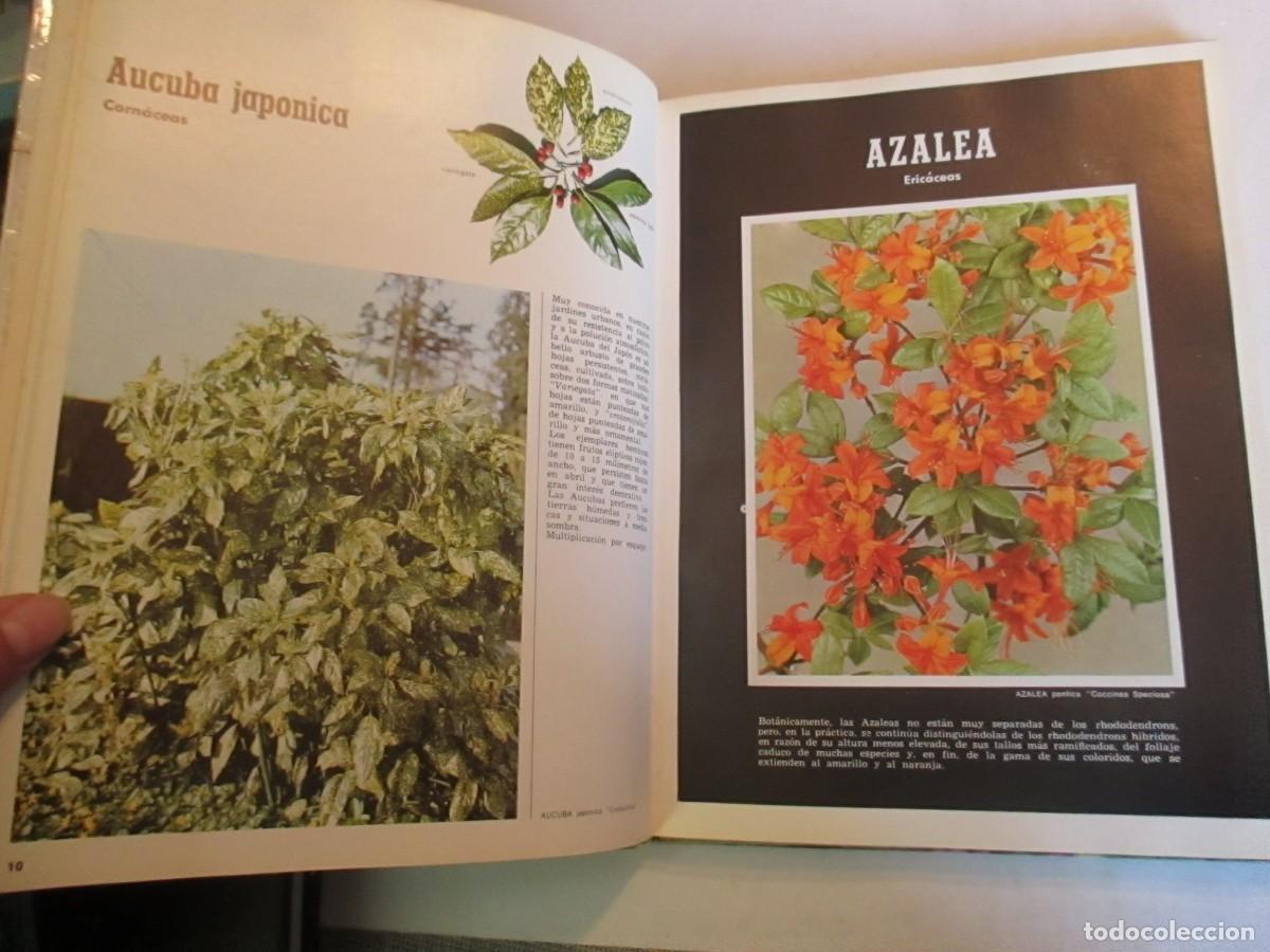 Libros de segunda mano: Arbustos de ornamento W32229 - Foto 2