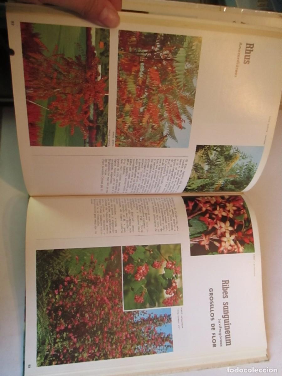 Libros de segunda mano: Arbustos de ornamento W32229 - Foto 3