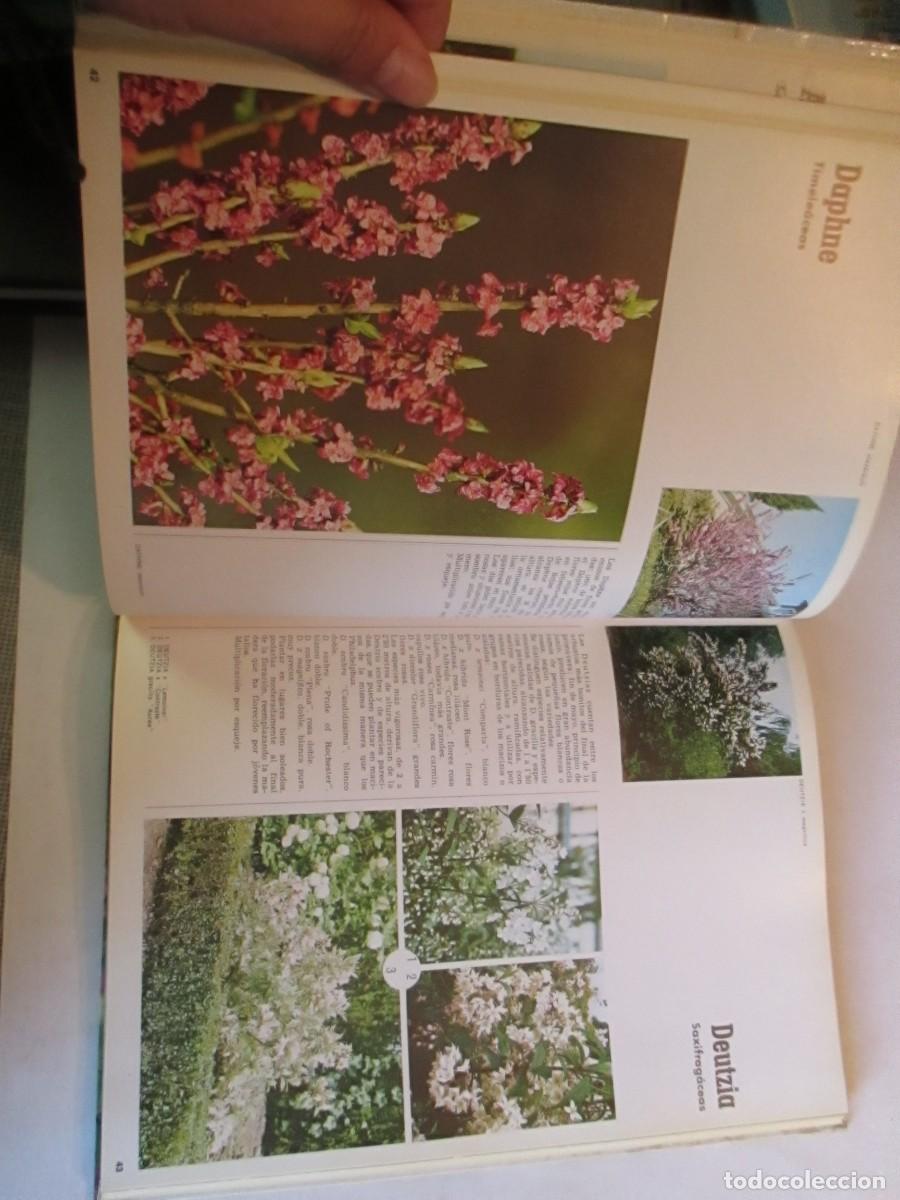 Libros de segunda mano: Arbustos de ornamento W32229 - Foto 4