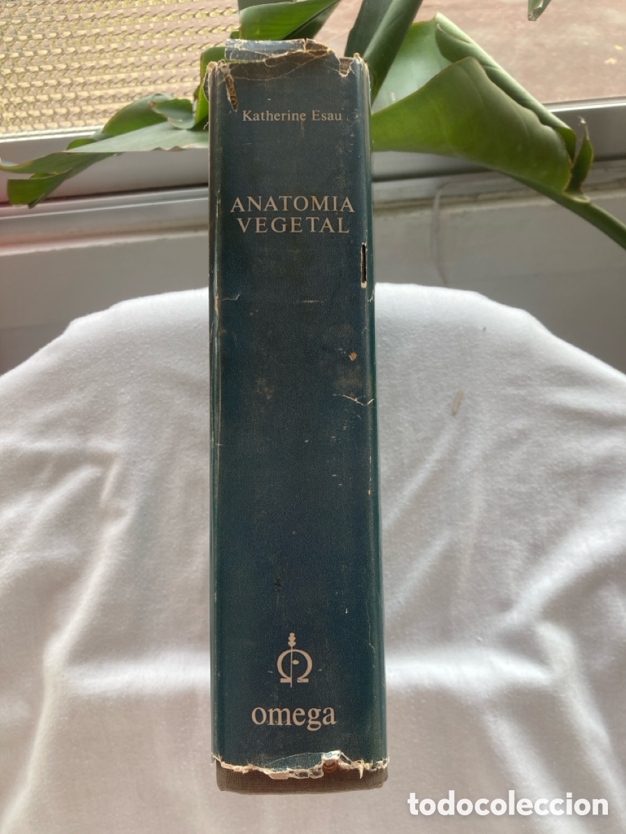 Libros de segunda mano: ANATOM&Iacute;A VEGETAL Katherine Esau - Foto 3