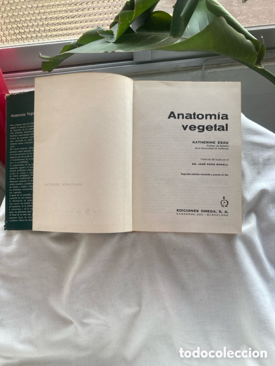 Libros de segunda mano: ANATOM&Iacute;A VEGETAL Katherine Esau - Foto 4