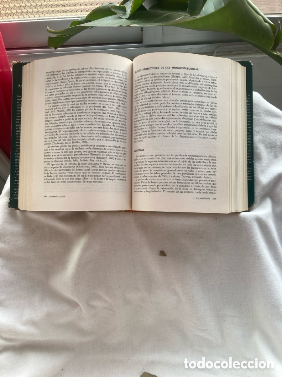 Libros de segunda mano: ANATOM&Iacute;A VEGETAL Katherine Esau - Foto 5
