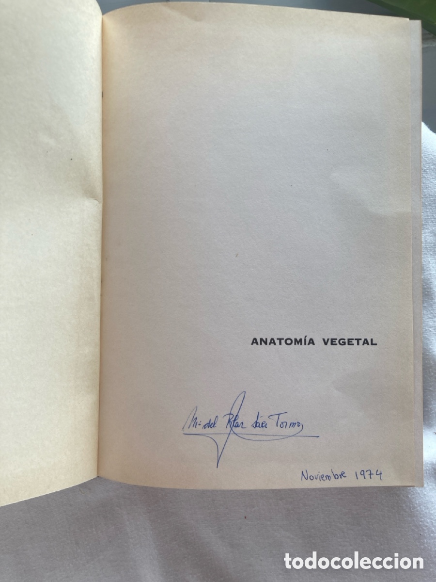 Libros de segunda mano: ANATOM&Iacute;A VEGETAL Katherine Esau - Foto 6
