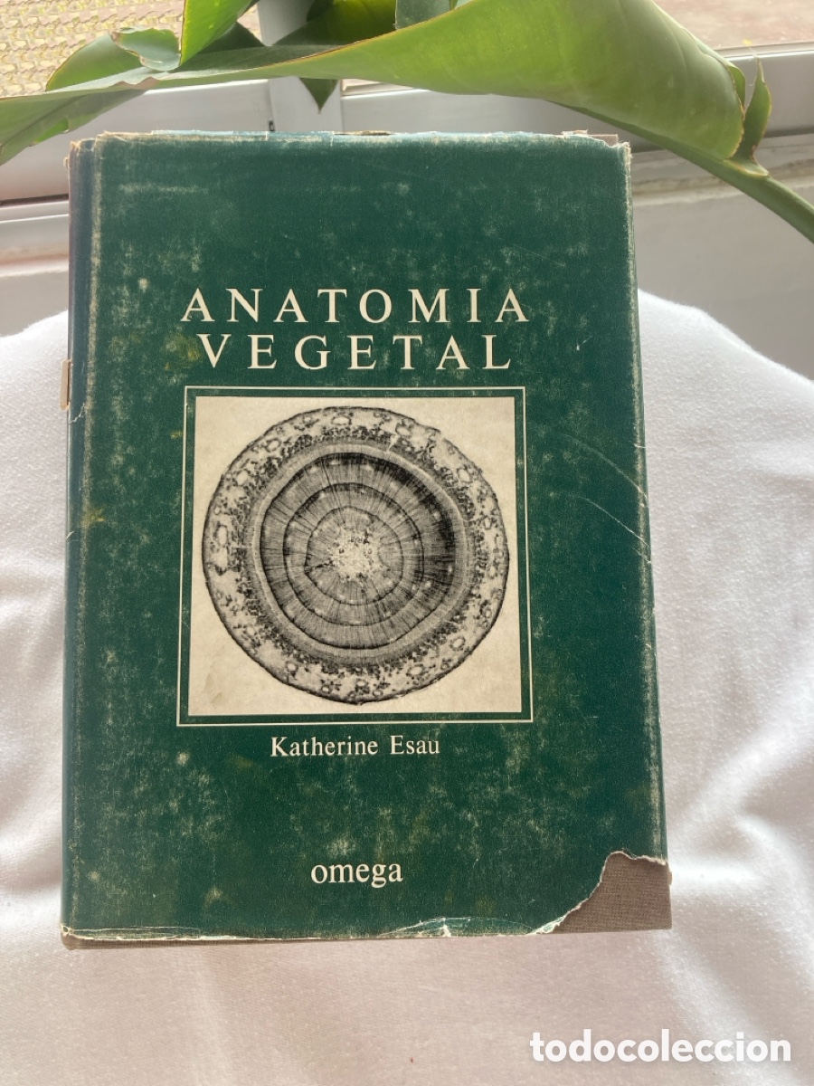 Libros de segunda mano: ANATOM&Iacute;A VEGETAL Katherine Esau - Foto 1