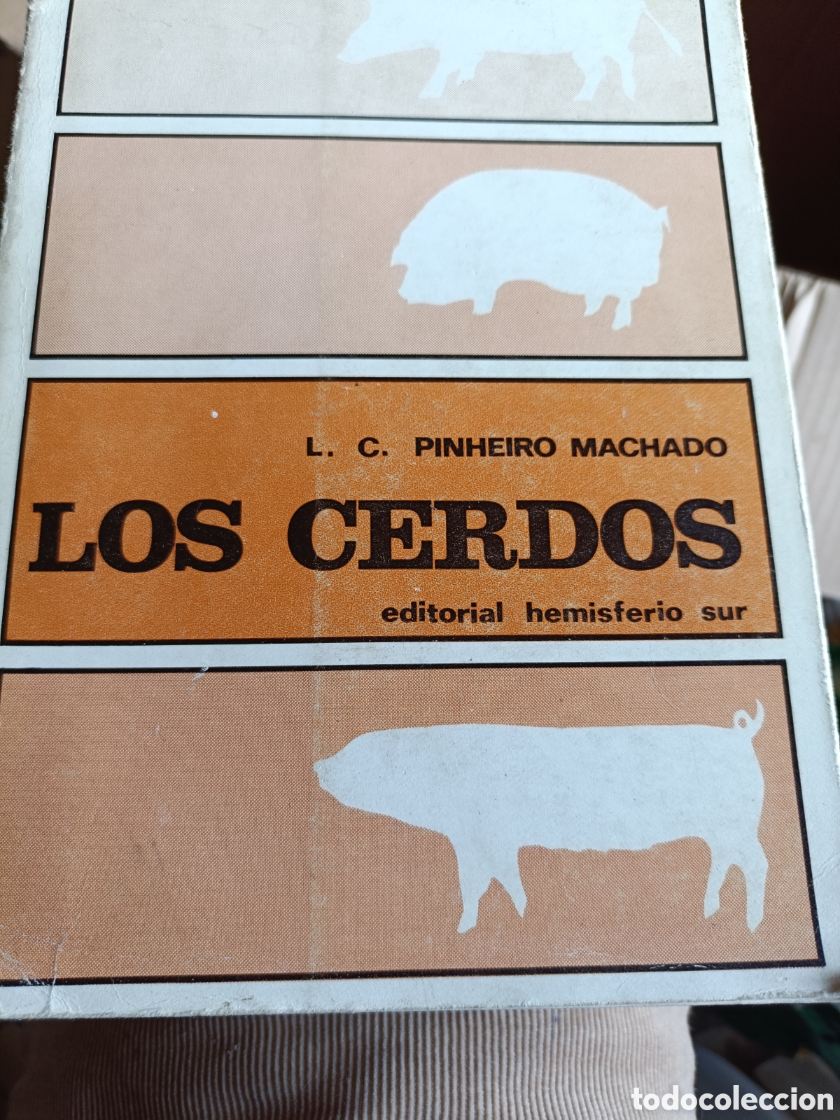 Libros de segunda mano: Los cerdos L C Pinheiro Machado - Foto 1