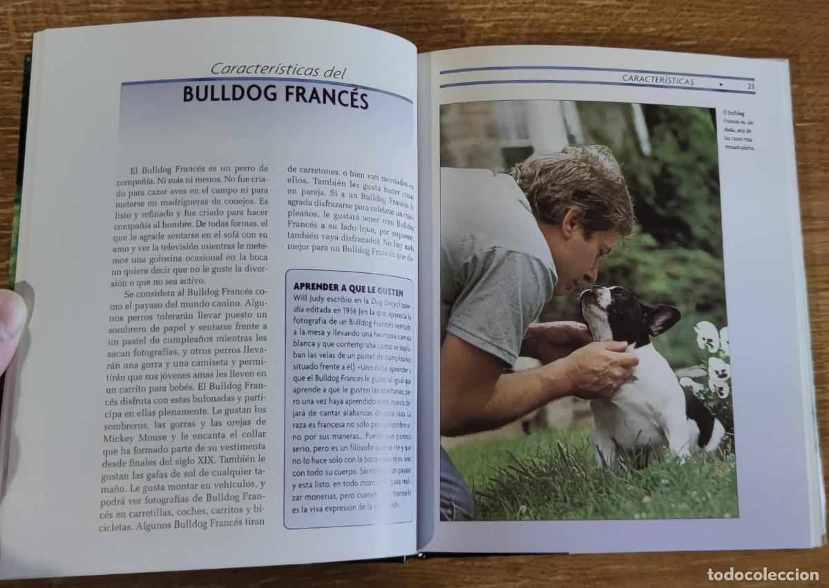 Libros de segunda mano: Libro - Bulldog franc&eacute;s (2005) Muriel P. Lee - Foto 5