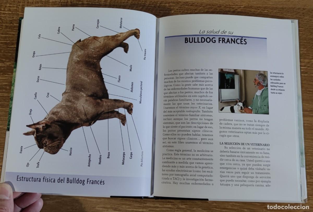 Libros de segunda mano: Libro - Bulldog franc&eacute;s (2005) Muriel P. Lee - Foto 6