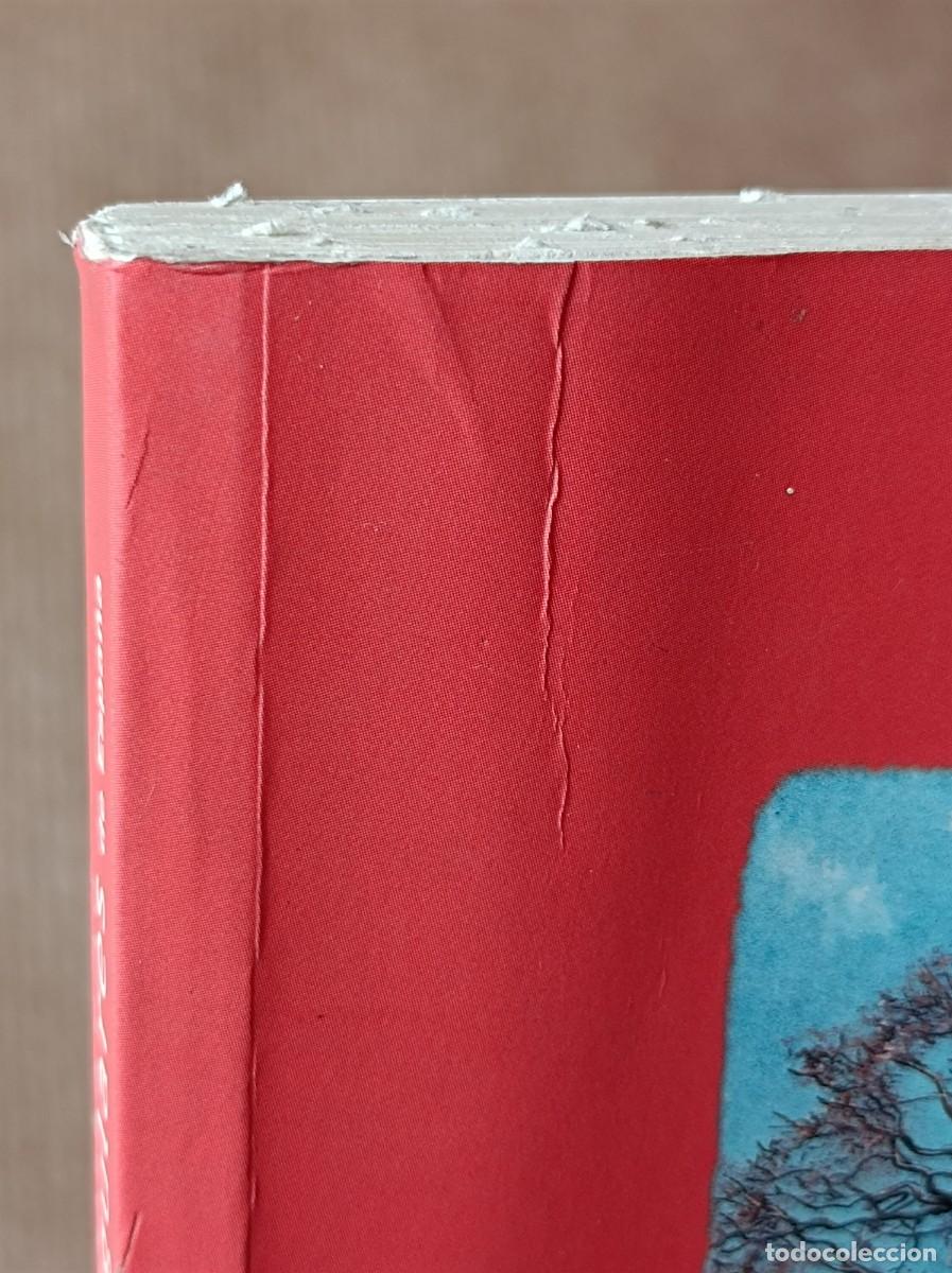 Libros de segunda mano: GU&Iacute;A DE LOS &Aacute;RBOLES SINGULARES BLUME - Foto 2