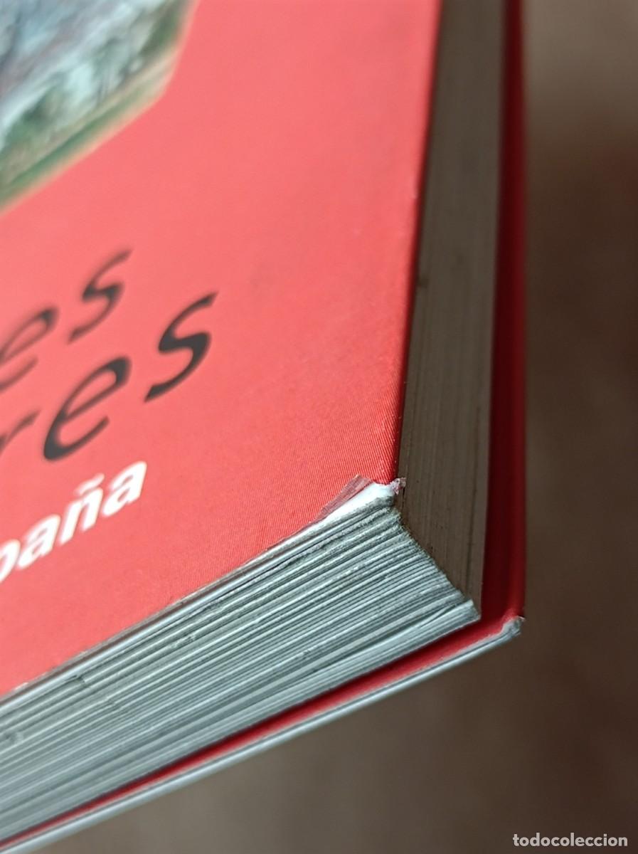 Libros de segunda mano: GU&Iacute;A DE LOS &Aacute;RBOLES SINGULARES BLUME - Foto 6