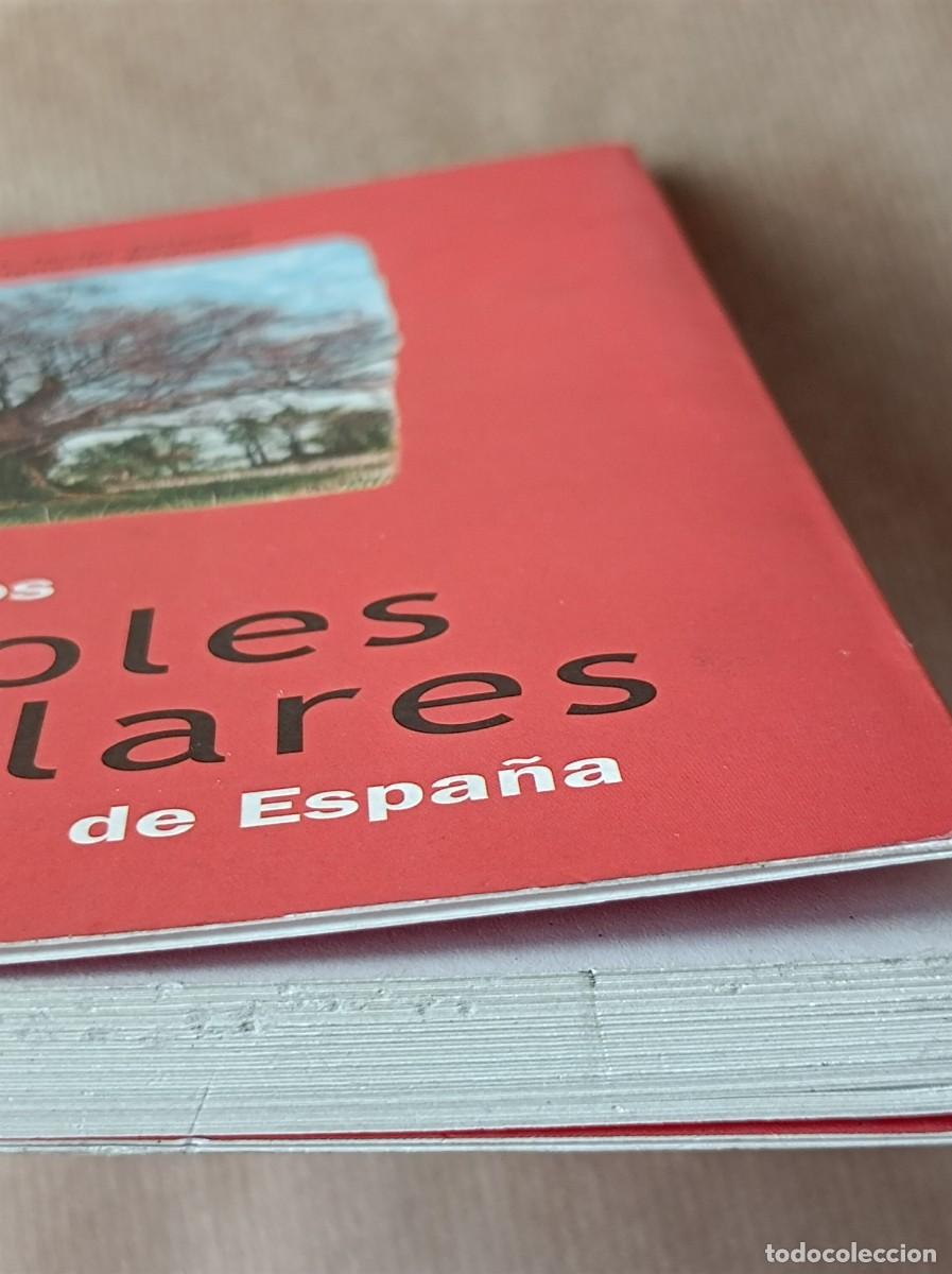 Libros de segunda mano: GU&Iacute;A DE LOS &Aacute;RBOLES SINGULARES BLUME - Foto 7