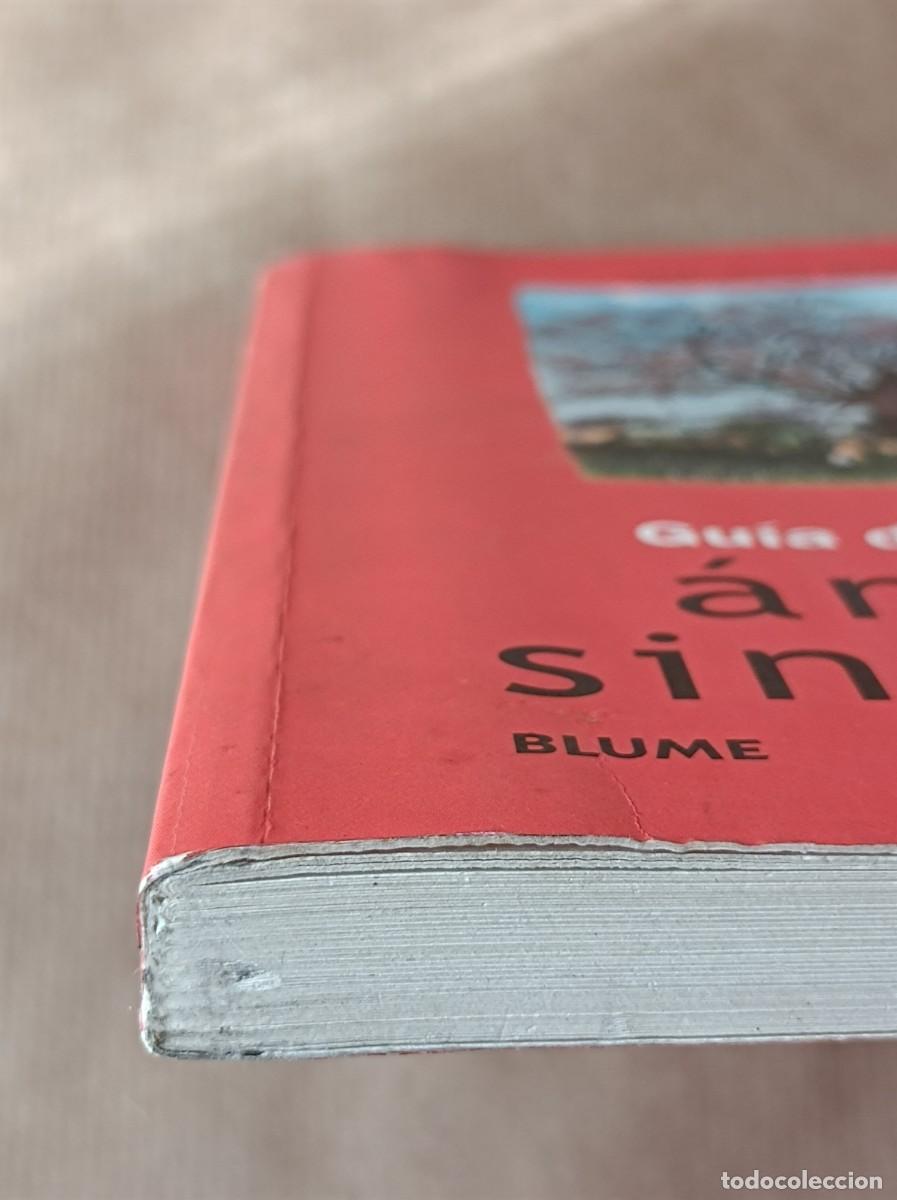 Libros de segunda mano: GU&Iacute;A DE LOS &Aacute;RBOLES SINGULARES BLUME - Foto 8